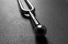 7772327738_8c4dae74f7_m